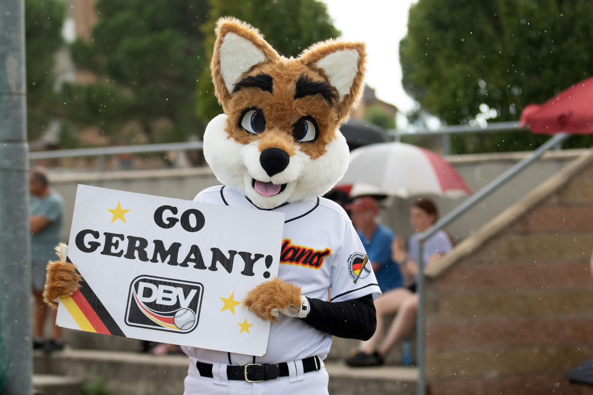 Help Baseball Germany Project 🇩🇪